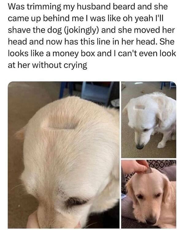 Memes For Animal Lovers (27 pics)