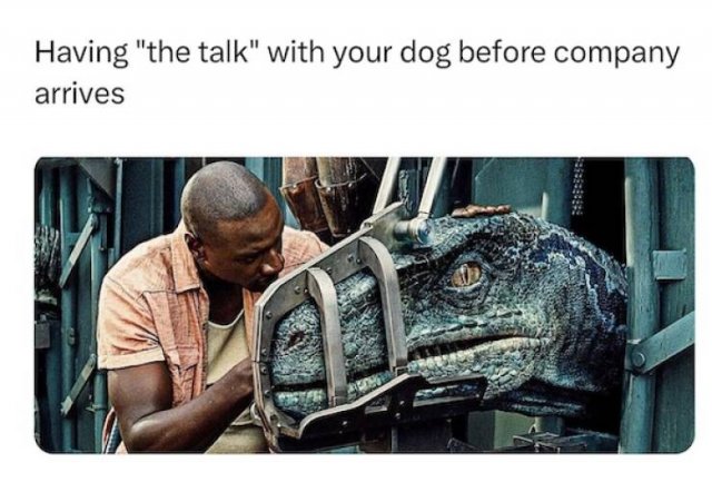 Memes For Animal Lovers (27 pics)