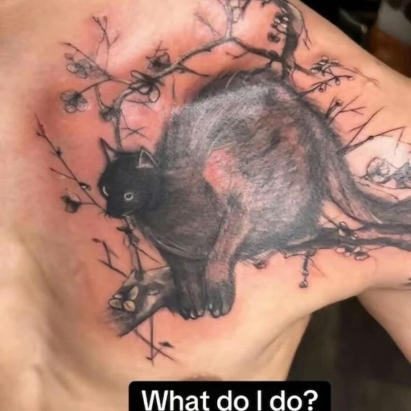 Strange Tattoos (22 pics)