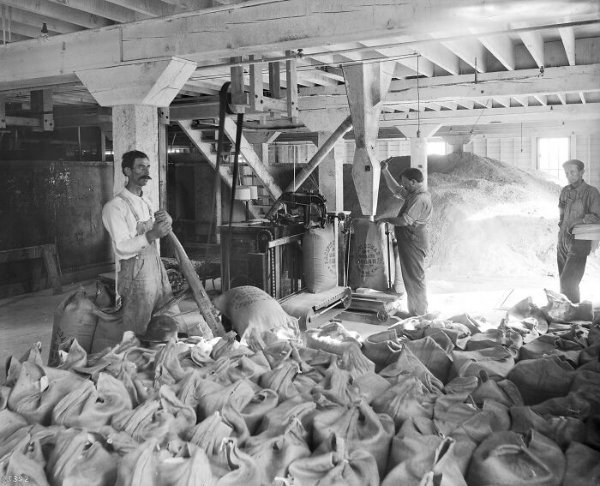 Photos Of Workers From The Past (30 pics)