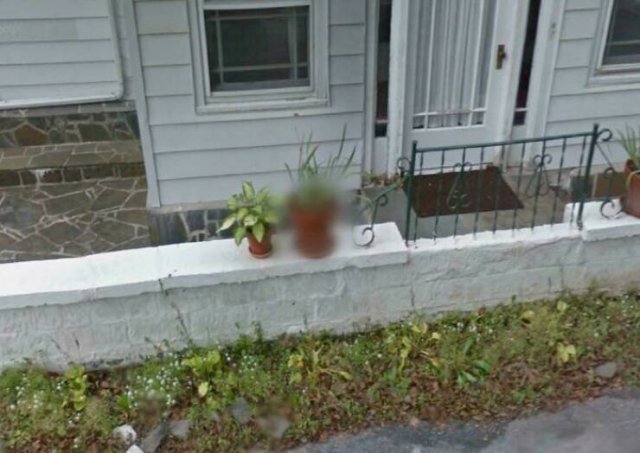 Wild Moments On Google Maps (25 pics)