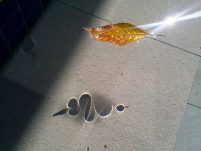 Strange Shadows (25 pics)