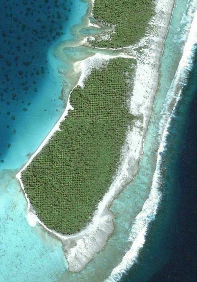 Wild Moments On Google Maps (25 pics)