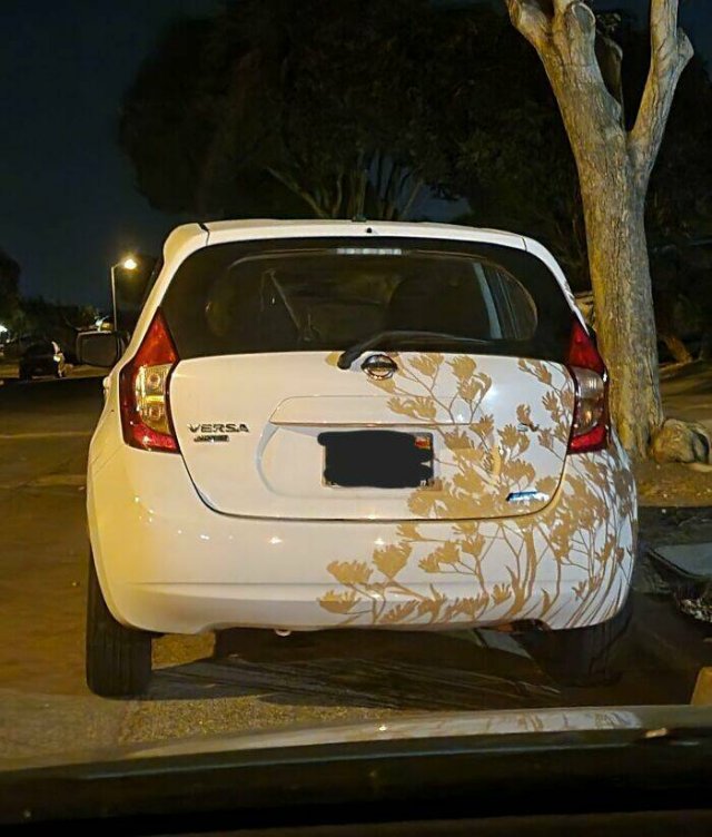 Strange Shadows (25 pics)