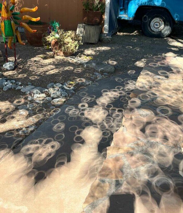 Strange Shadows (25 pics)