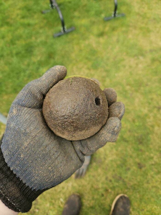 What Are These Things? (17 pics)