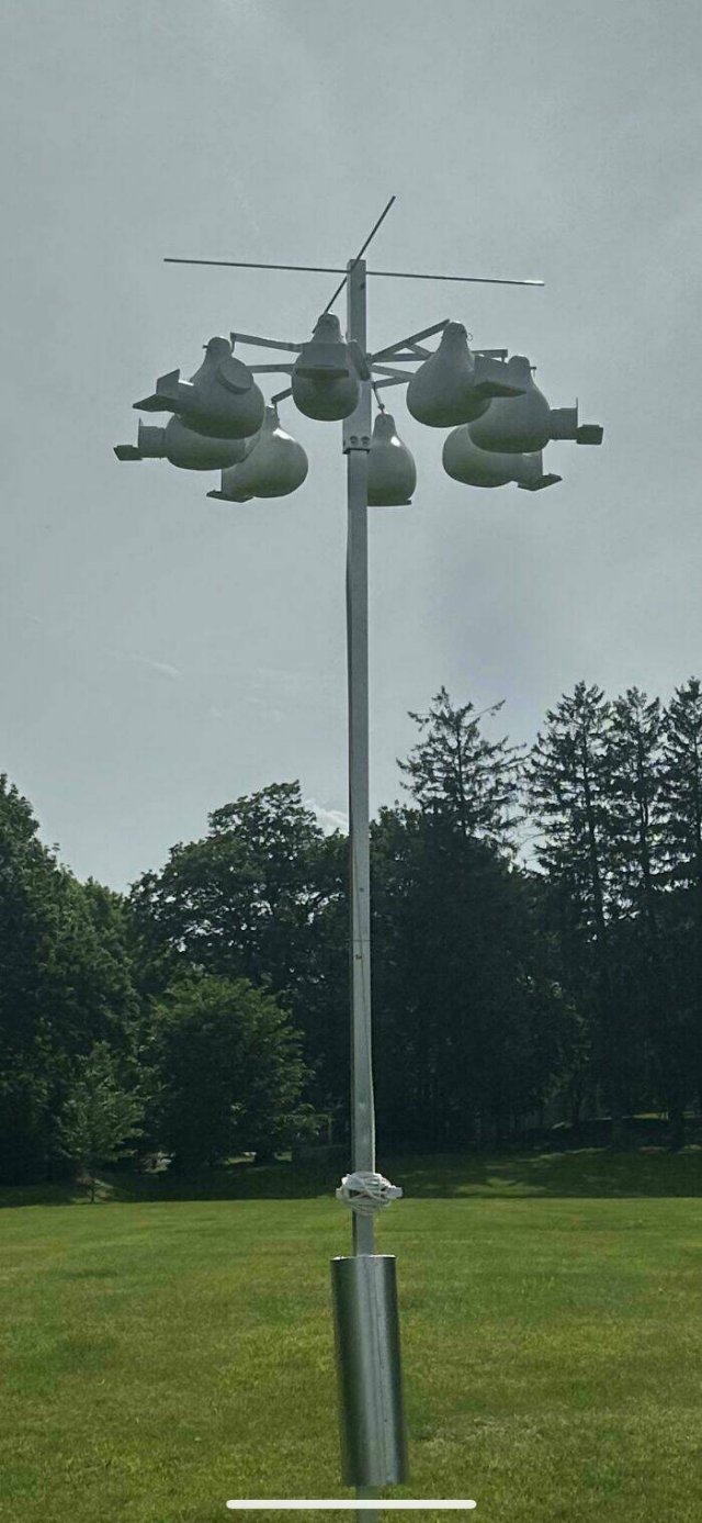 What Are These Things? (17 pics)