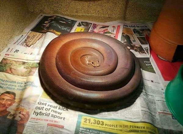 Photos For Perfectionists (35 pics)