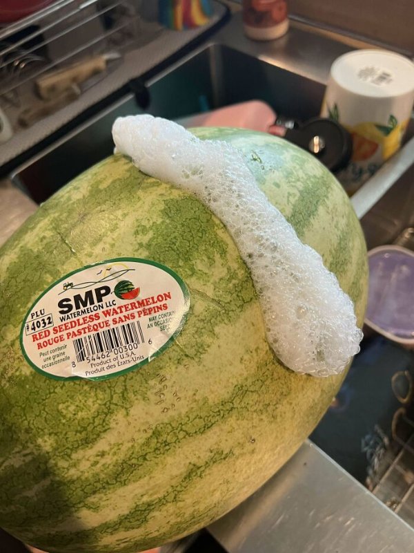 What Is Going On Here? (29 pics)