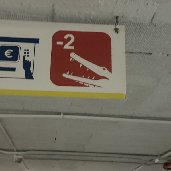 What Is Going On Here? (29 pics)