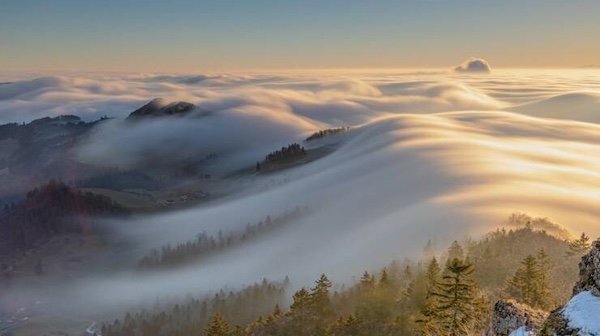 Photos For Perfectionists (35 pics)