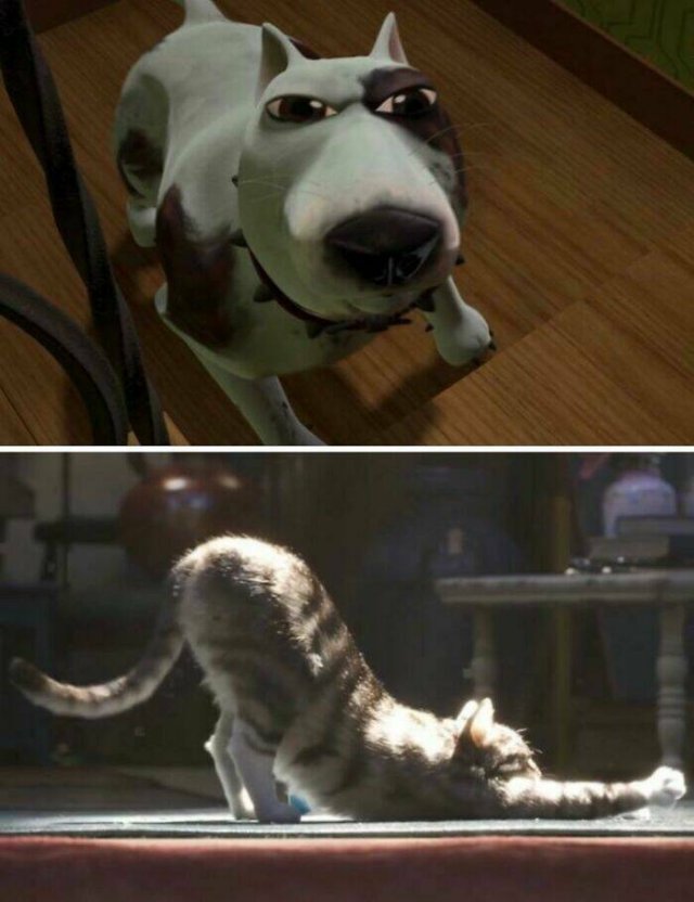 Amazing Comparisons (20 pics)