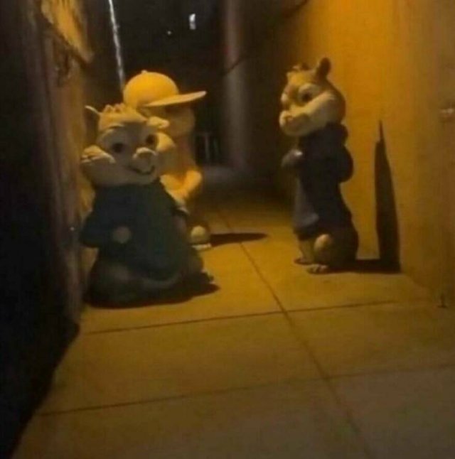 What Is Going On Here? (25 pics)