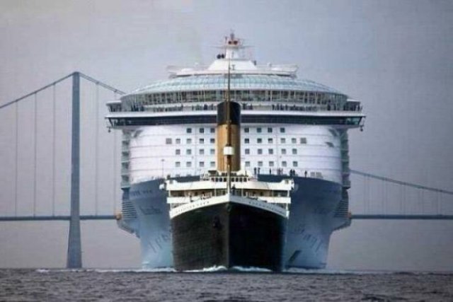 Amazing Comparisons (20 pics)