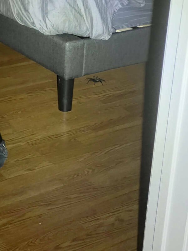 Bad Days Happen (22 pics)