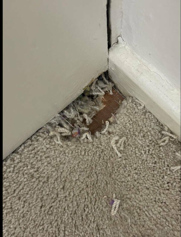 Bad Days Happen (22 pics)