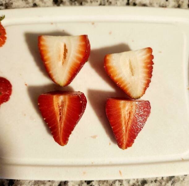 Amazing Comparisons (20 pics)