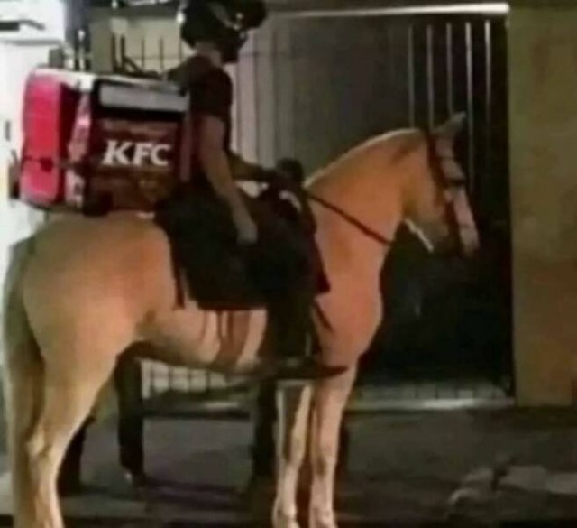 What Is Going On Here? (25 pics)