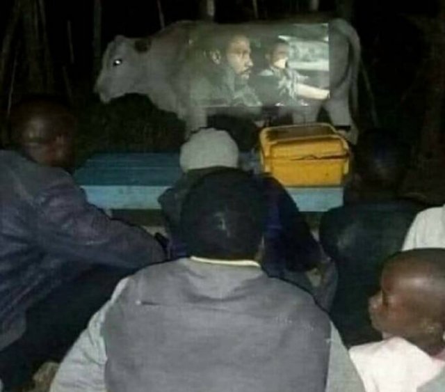 What Is Going On Here? (25 pics)