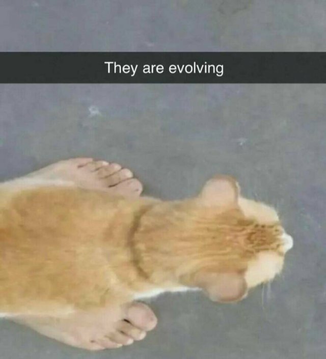What Is Going On Here? (25 pics)
