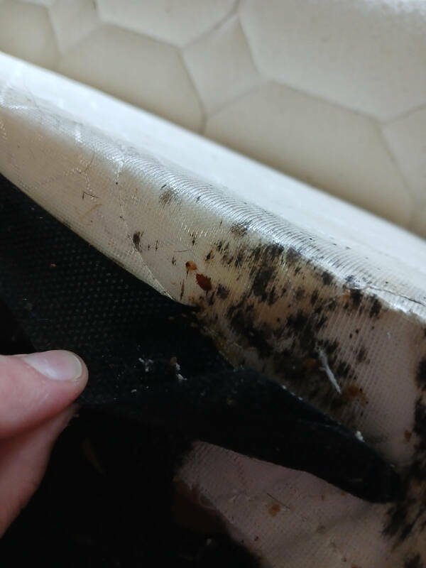 Bad Days Happen (22 pics)