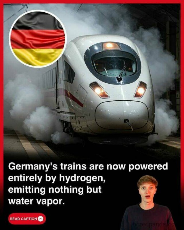 Random Facts (25 pics)
