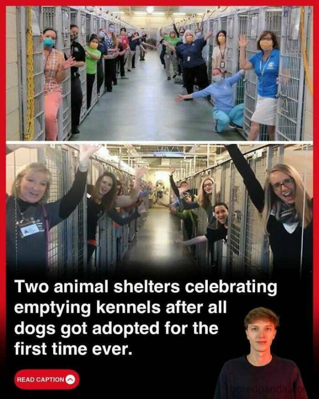Random Facts (25 pics)