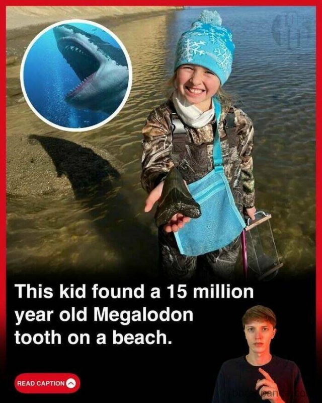 Random Facts (25 pics)