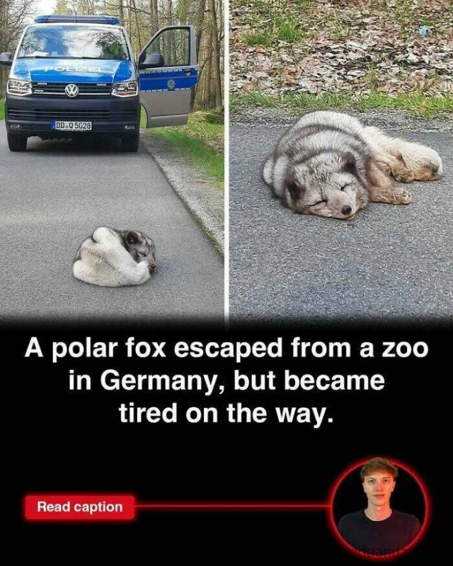 Random Facts (25 pics)
