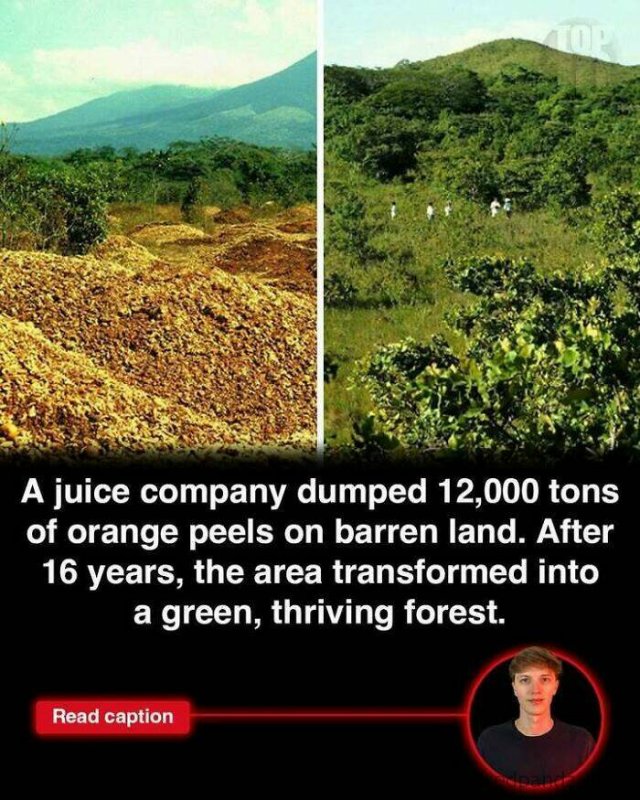 Random Facts (25 pics)