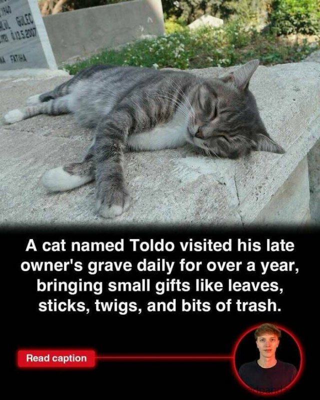 Random Facts (25 pics)