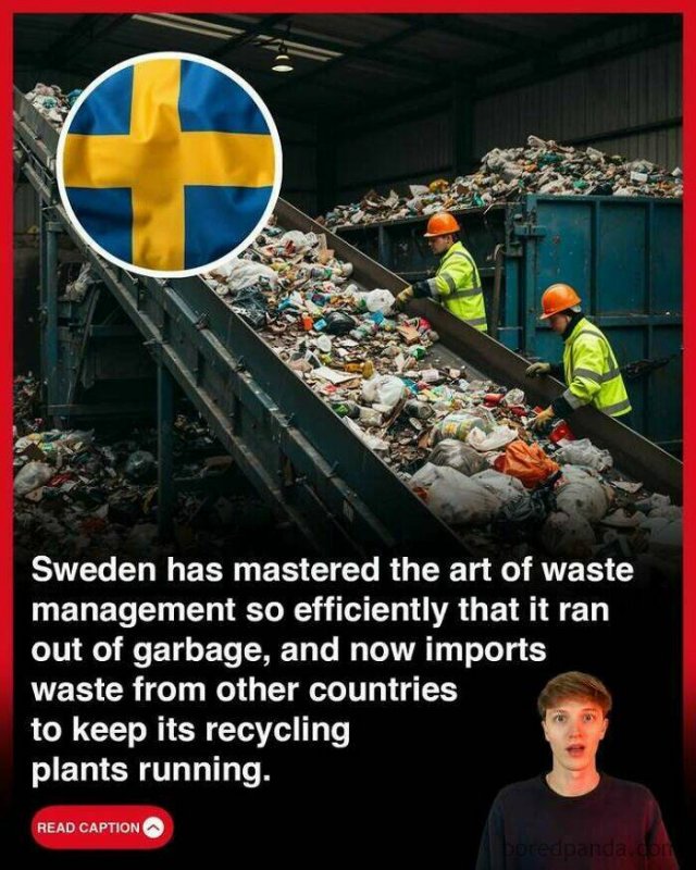 Random Facts (25 pics)