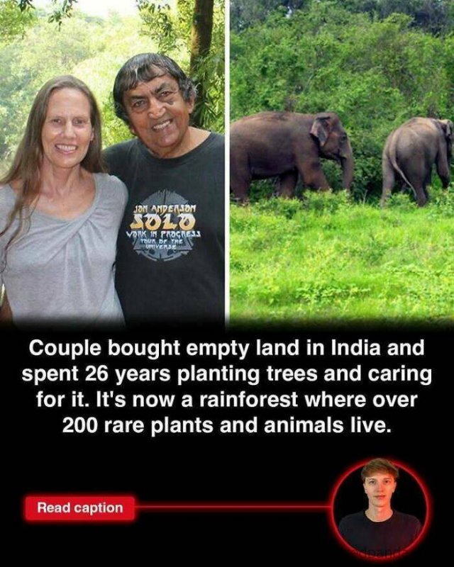 Random Facts (25 pics)