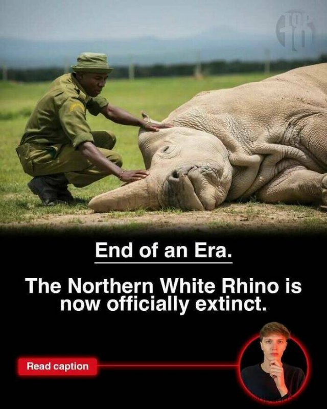Random Facts (25 pics)