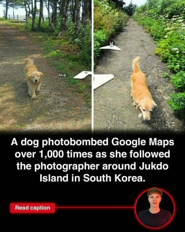 Random Facts (25 pics)