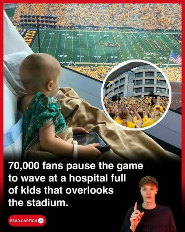 Random Facts (25 pics)