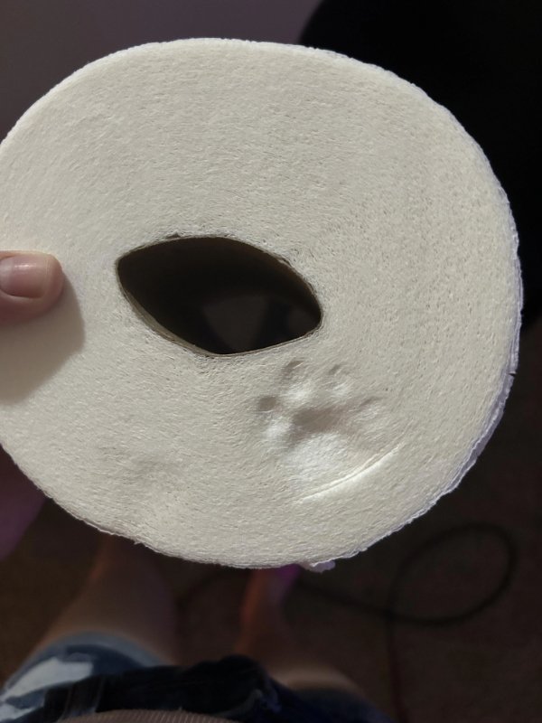 Interesting Finds And Discoveries (24 pics)