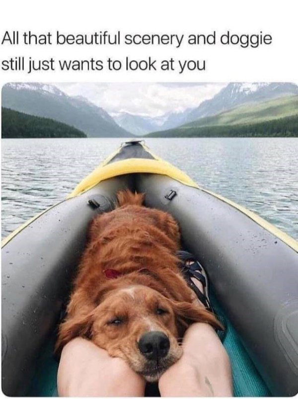 Kind Posts And Photos (29 pics)