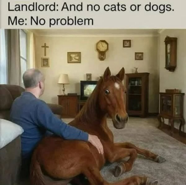 Funny Memes (17 pics)
