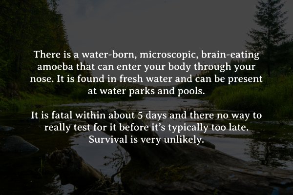 Creepy Facts (15 pics)
