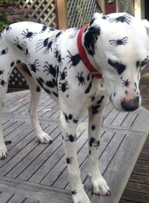 What Is Going On Here? (34 pics)