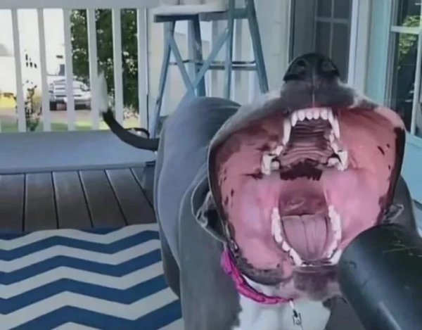 What Is Going On Here? (34 pics)