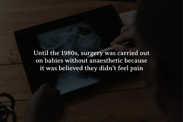 Creepy Facts (15 pics)