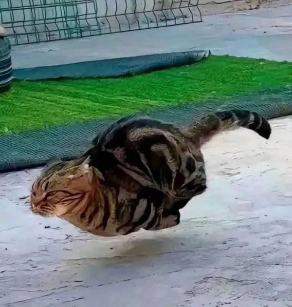 What Is Going On Here? (34 pics)