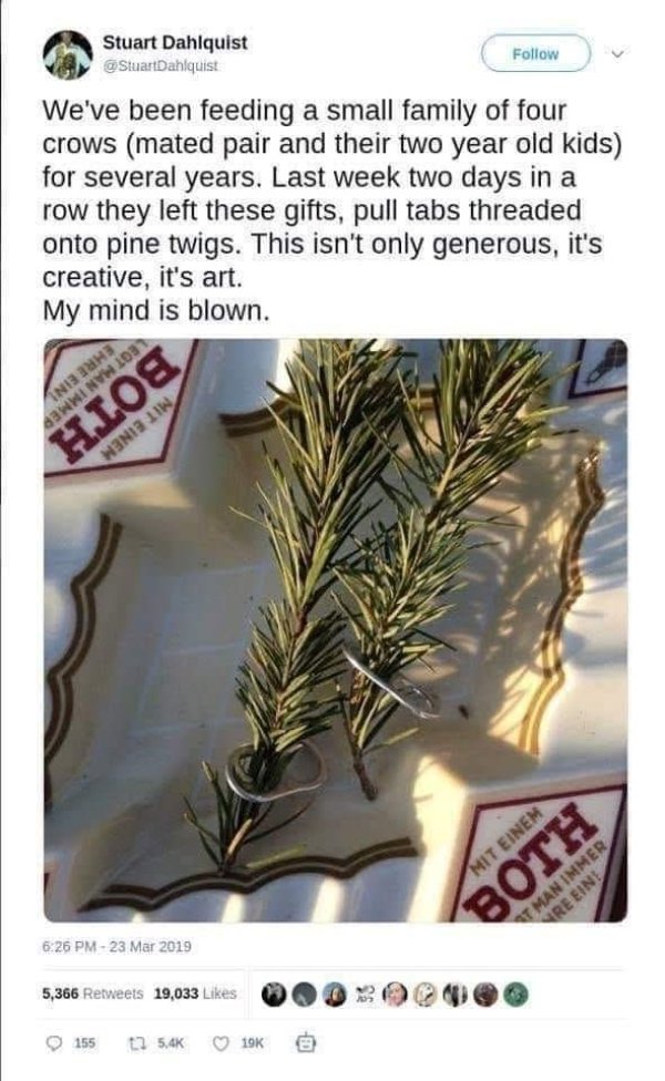 Kind Posts And Photos (29 pics)