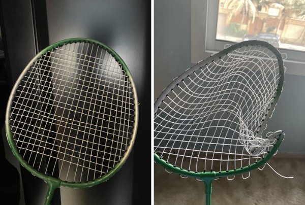 They Can't Borrow Things (15 pics)