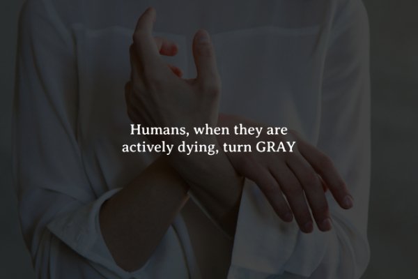 Creepy Facts (15 pics)