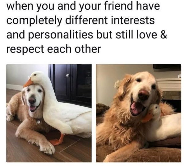 Kind Posts And Photos (29 pics)