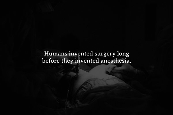 Creepy Facts (15 pics)
