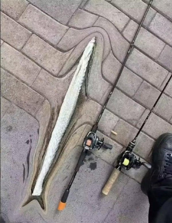 What Is Going On Here? (34 pics)